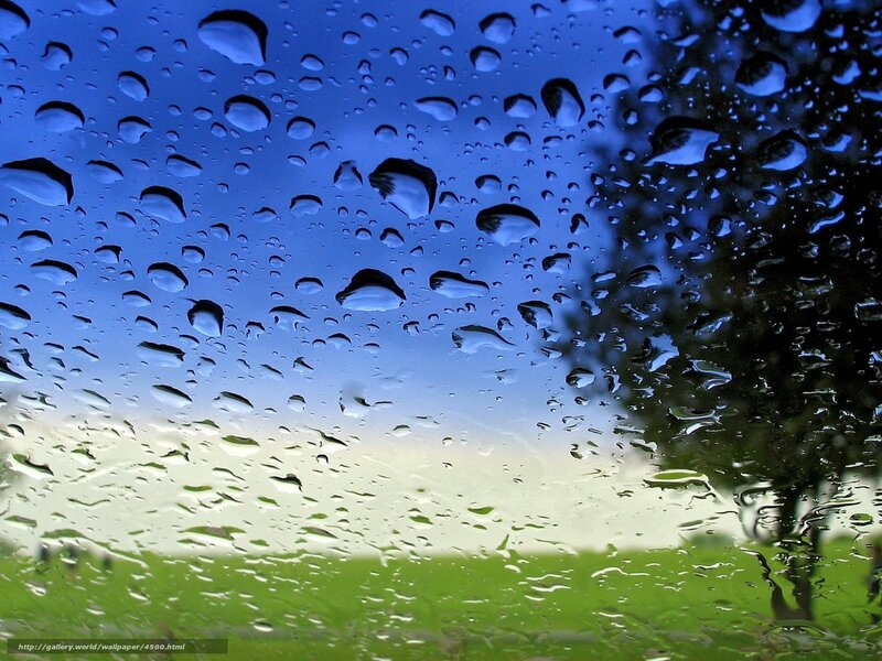 Raindrops on a window