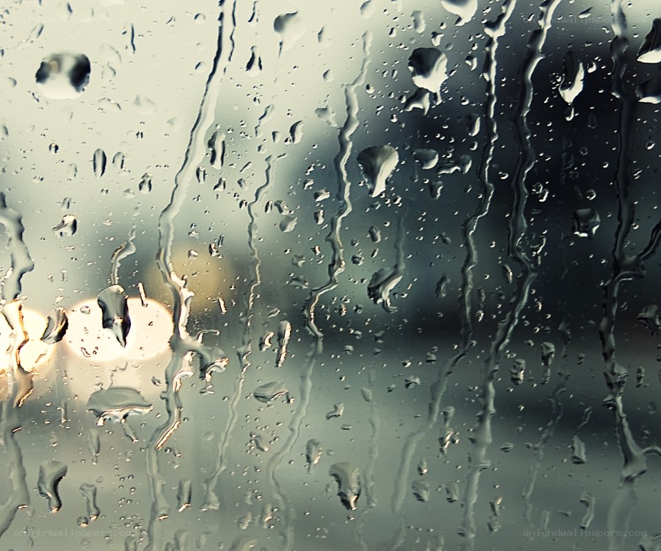 raindrops on a window