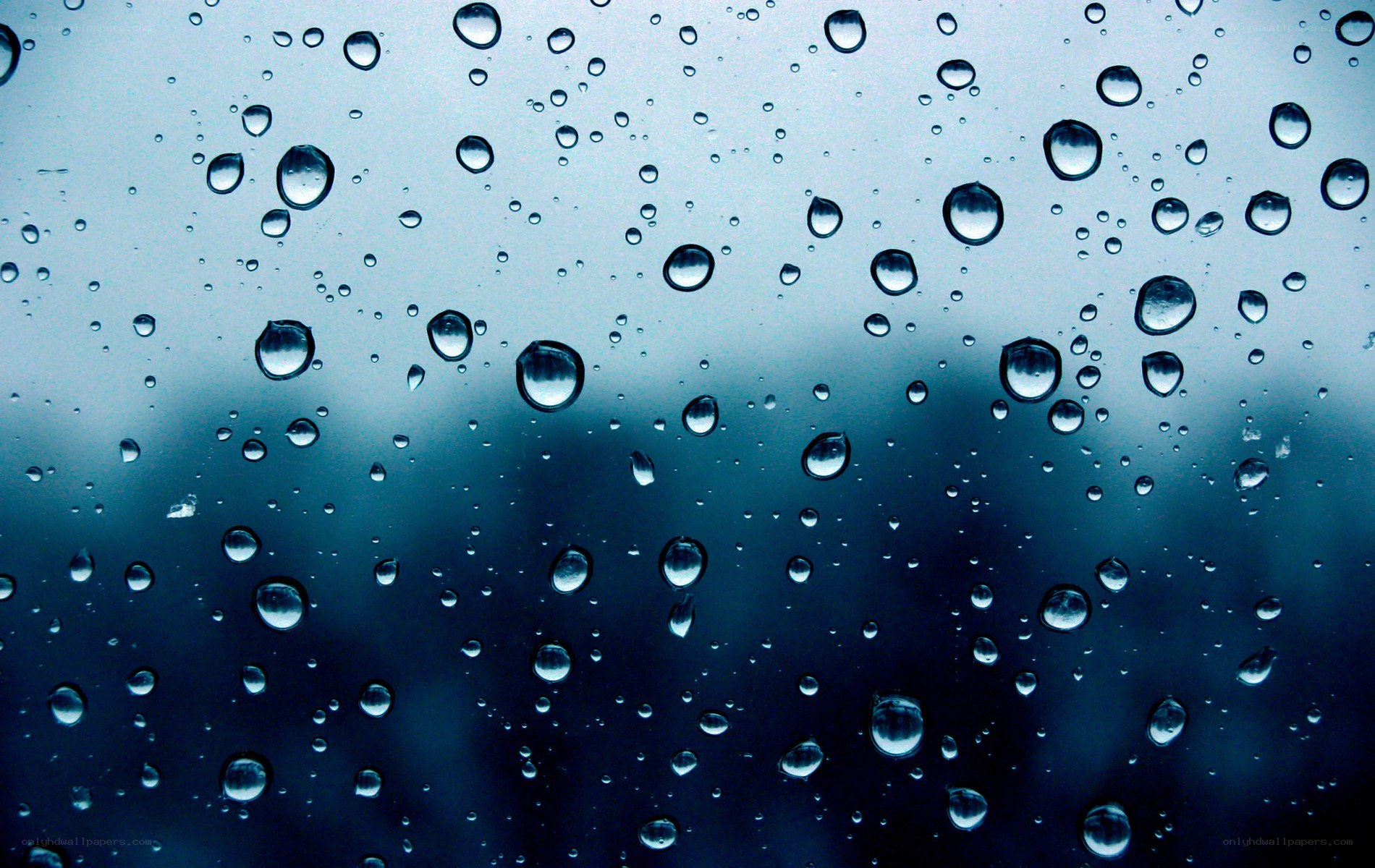 raindrops on a window