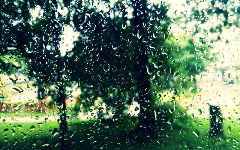 raindrops on a window