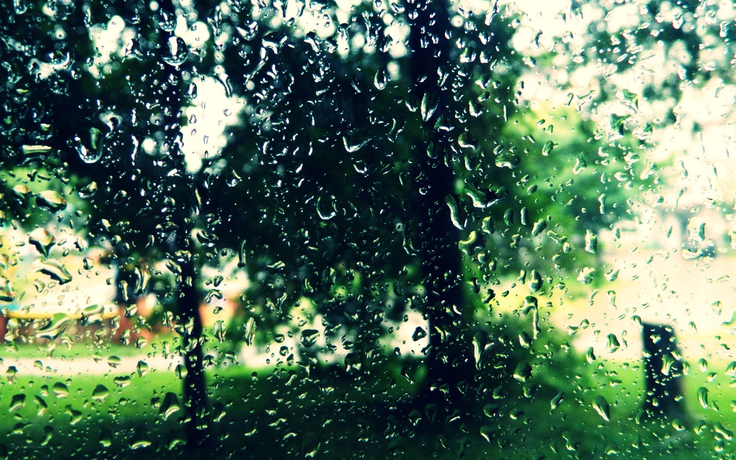raindrops on a window