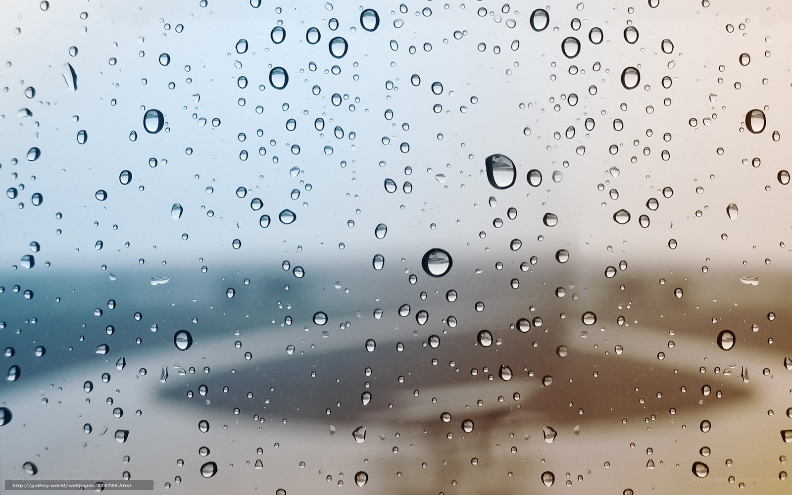 Raindrops on a window