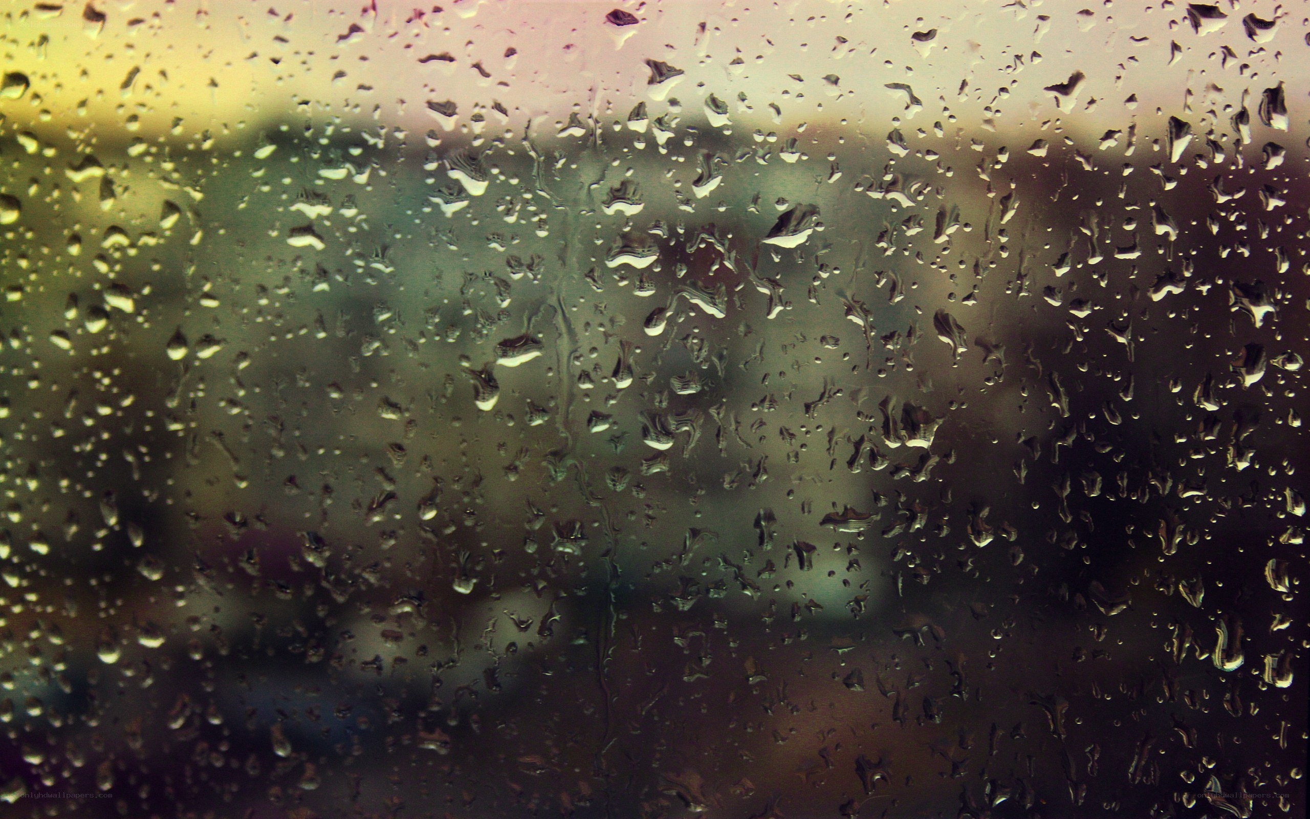 raindrops on a window