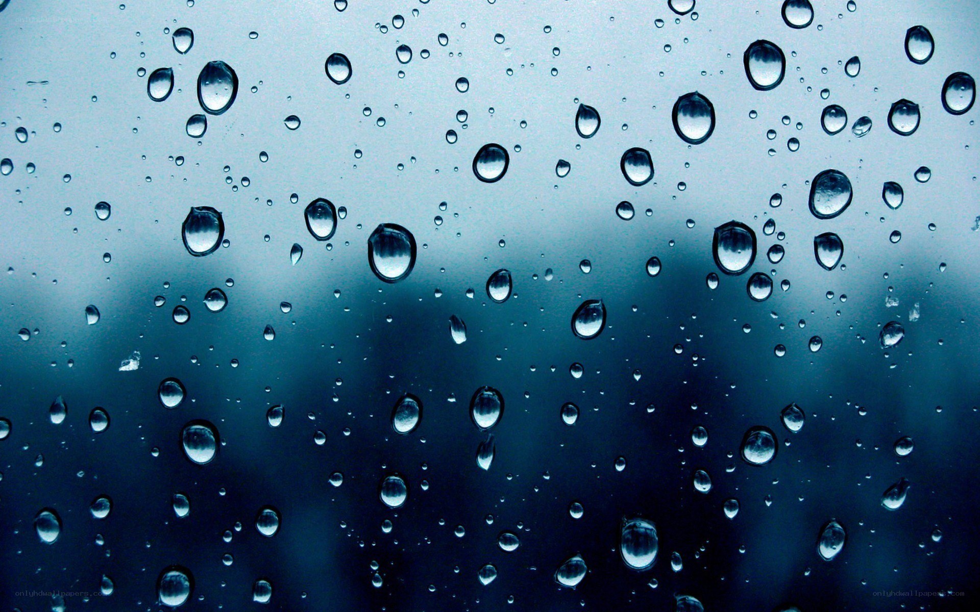 raindrops on a window