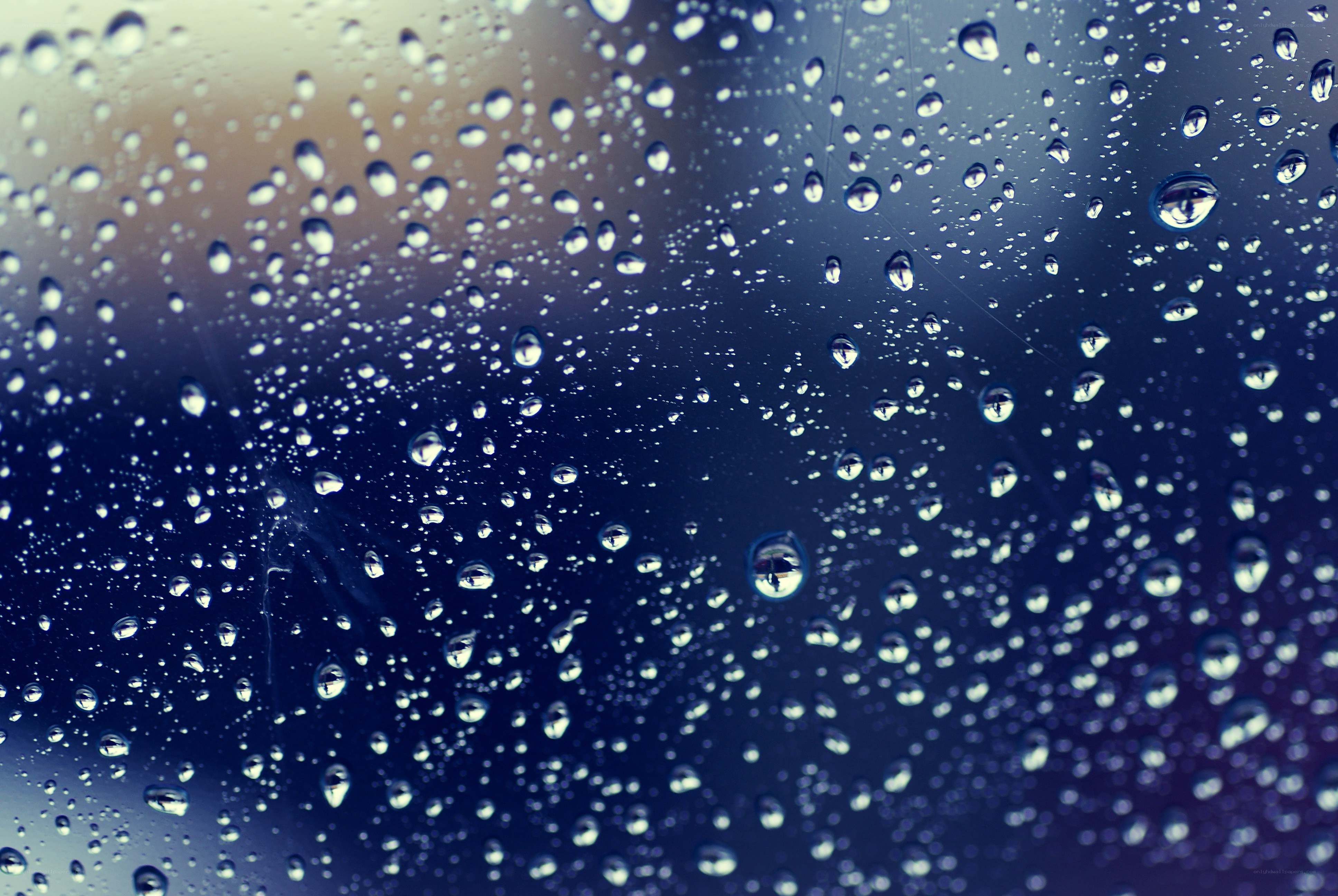 raindrops on a window