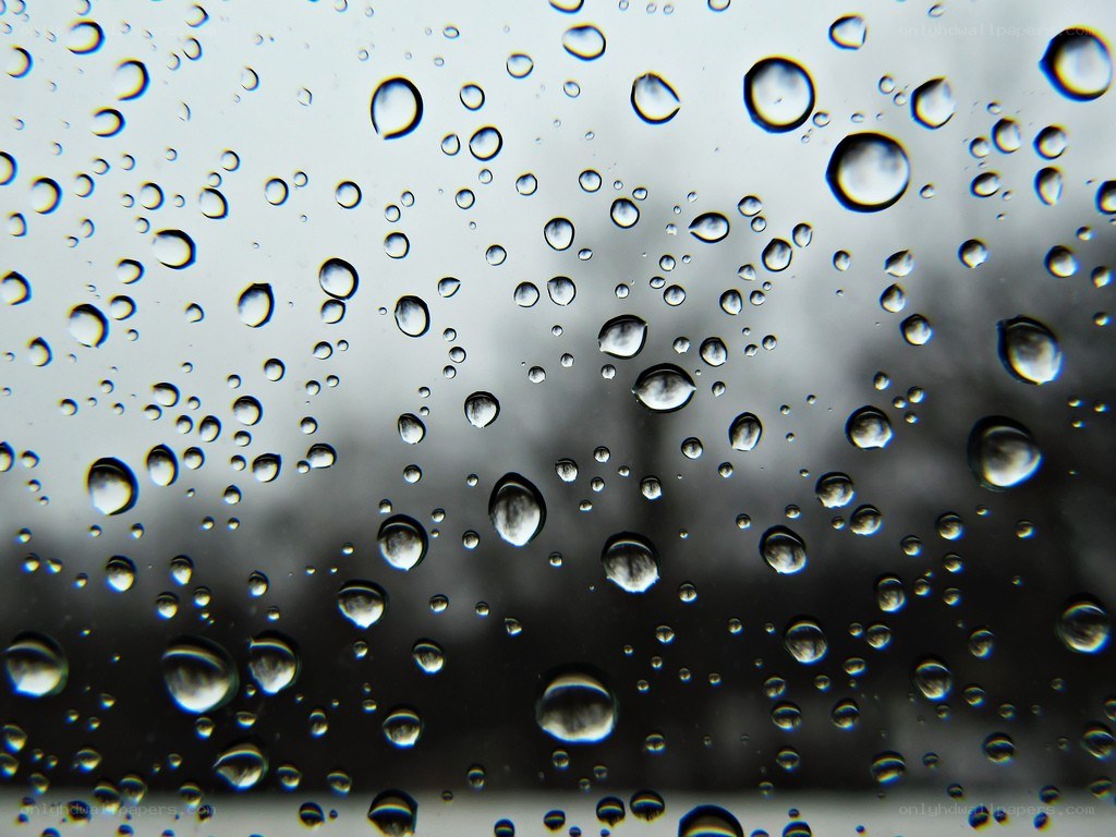 raindrops on a window