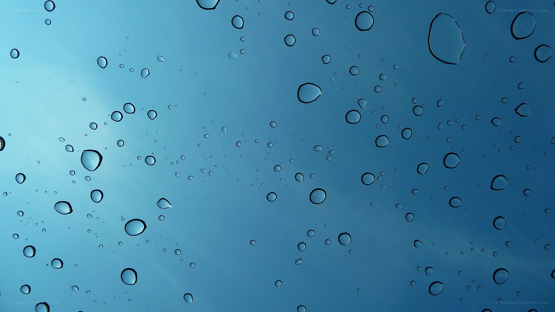 raindrops on a window