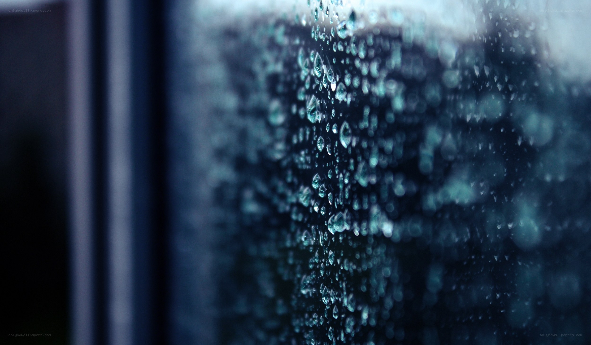 Raindrops on a window
