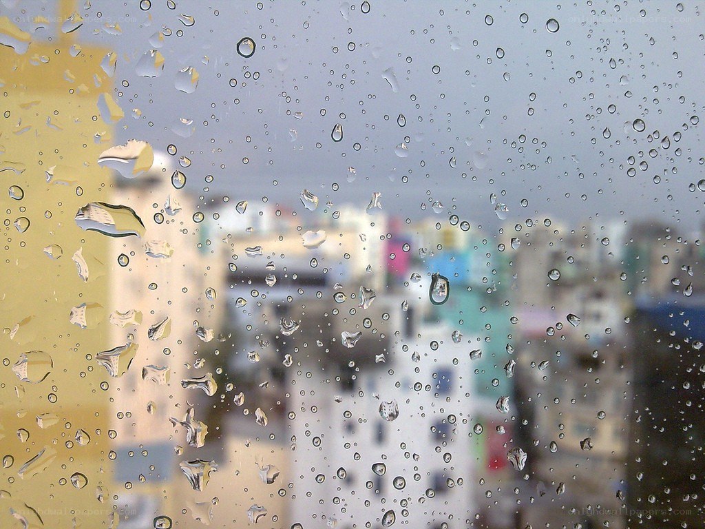 raindrops on a window