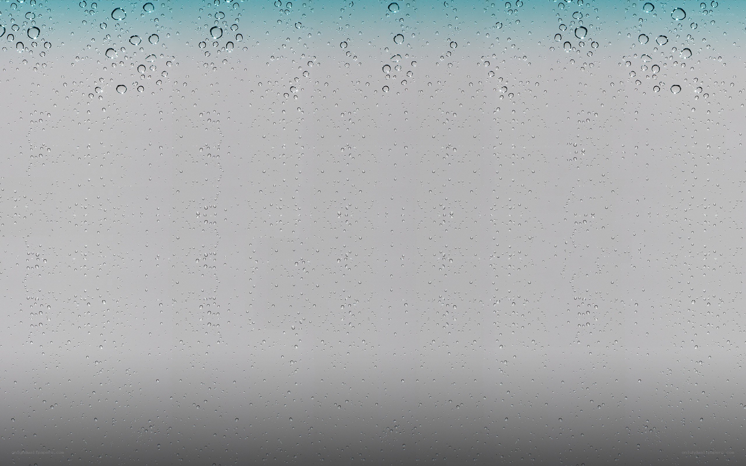 raindrops on a window
