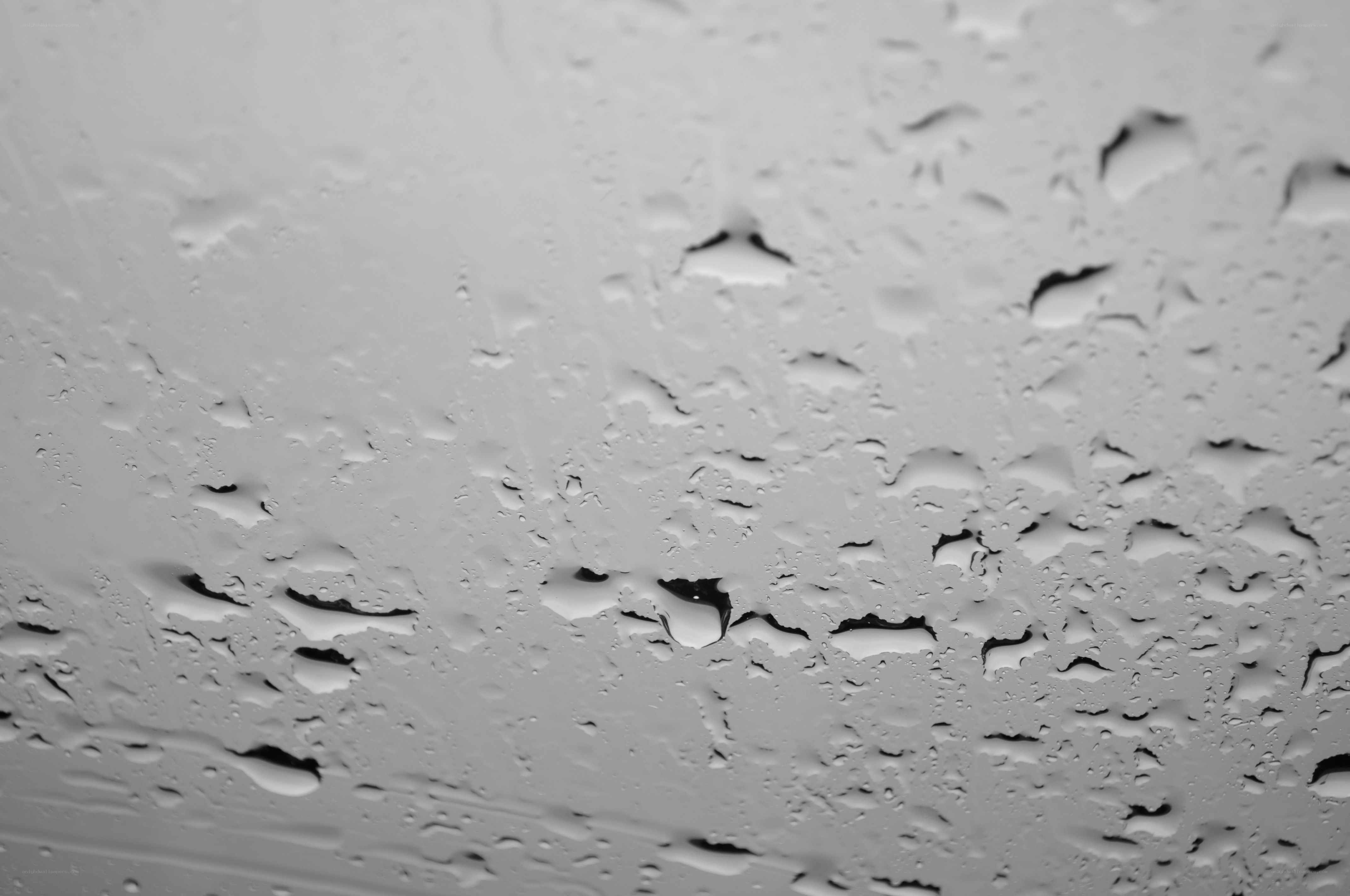 raindrops on a window