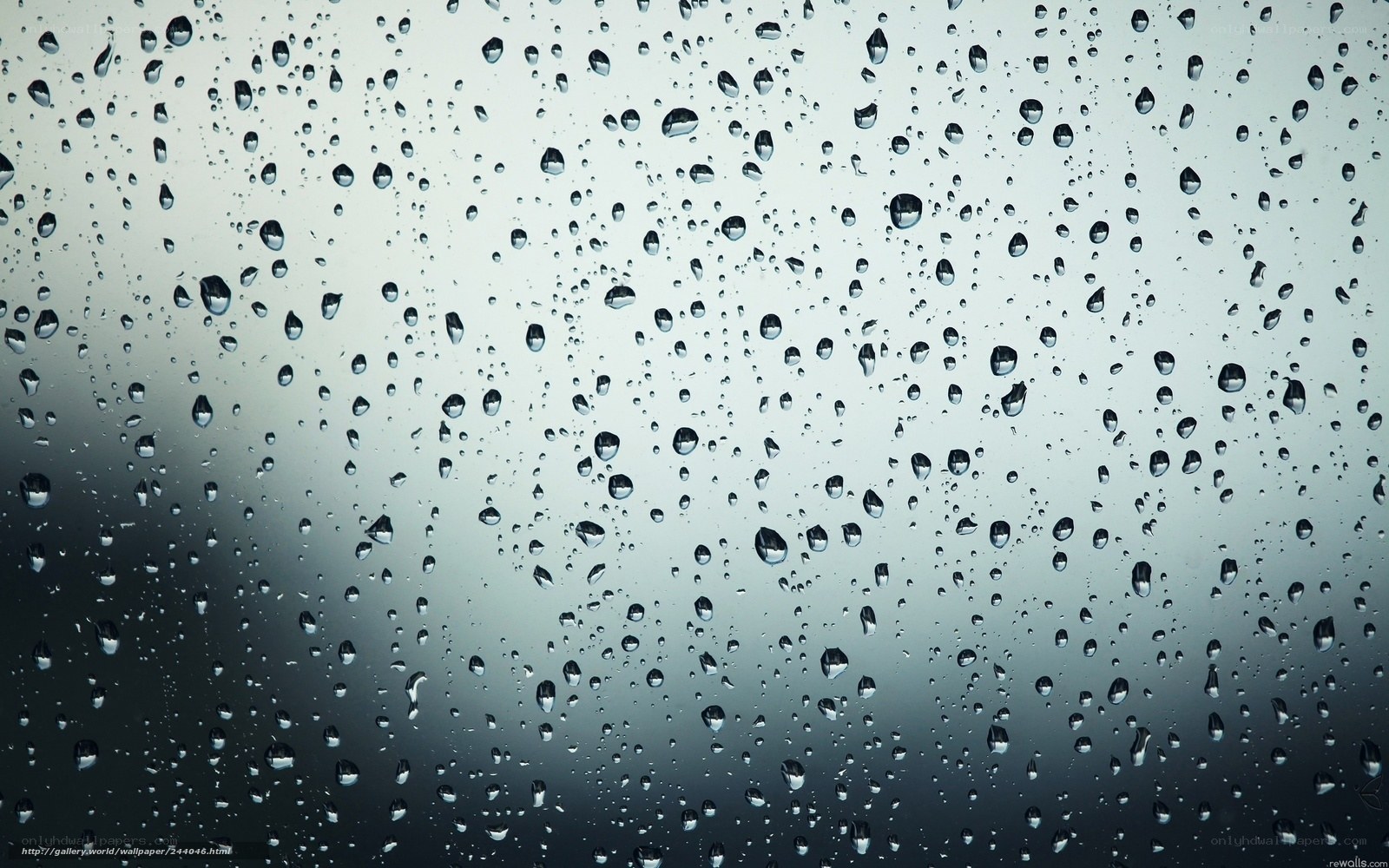 raindrops on a window
