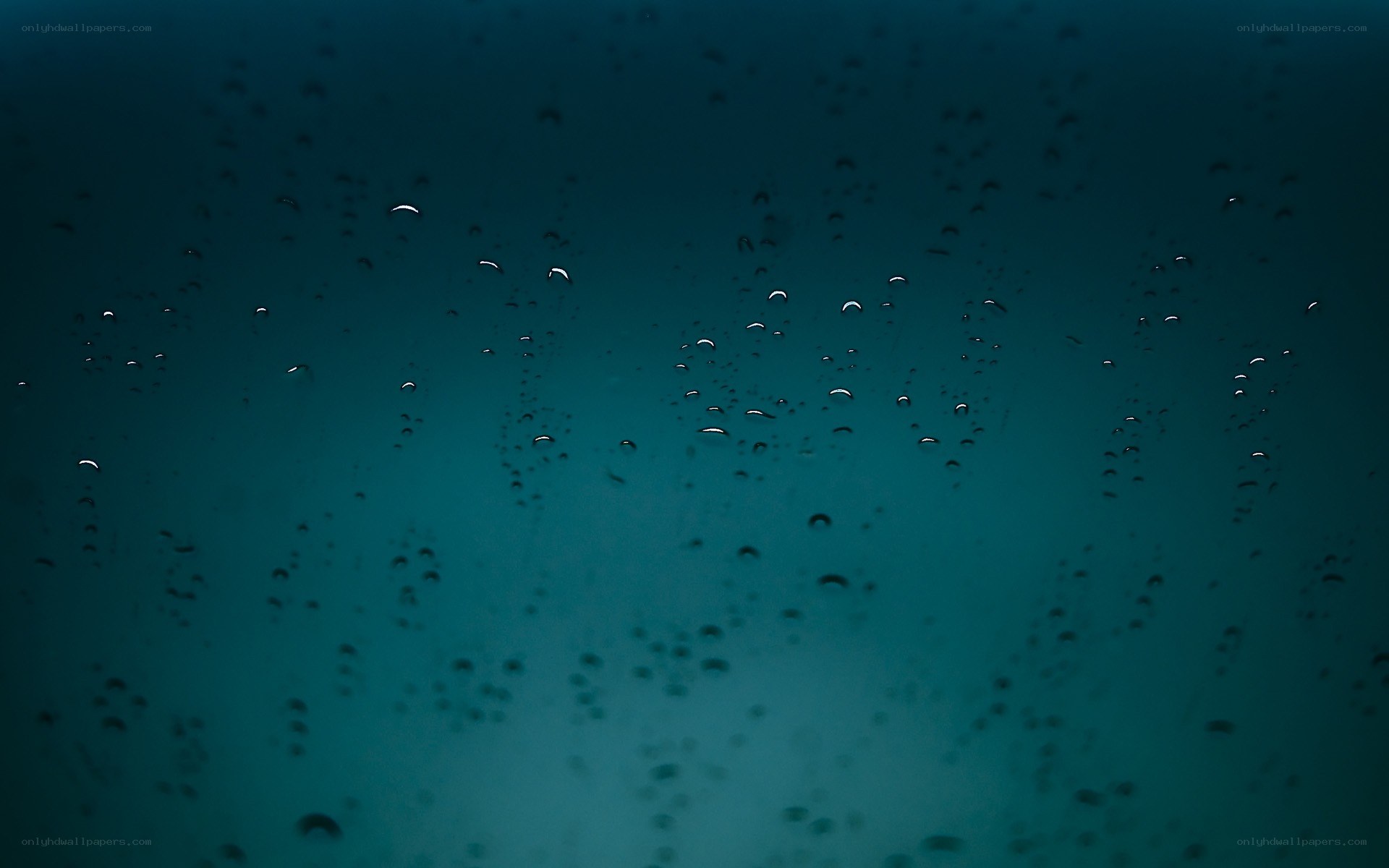 raindrops on a window