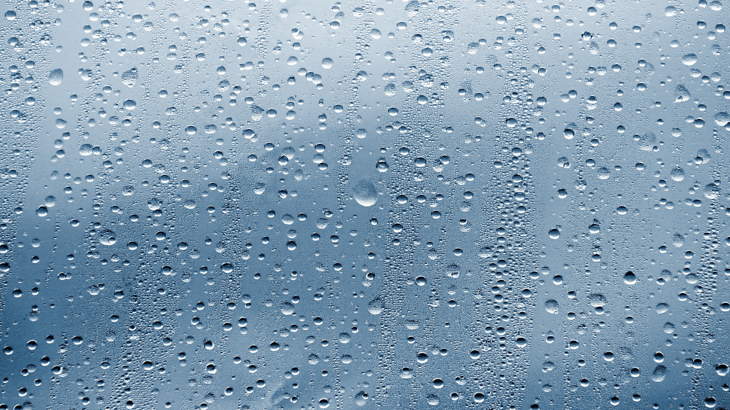 raindrops on a window