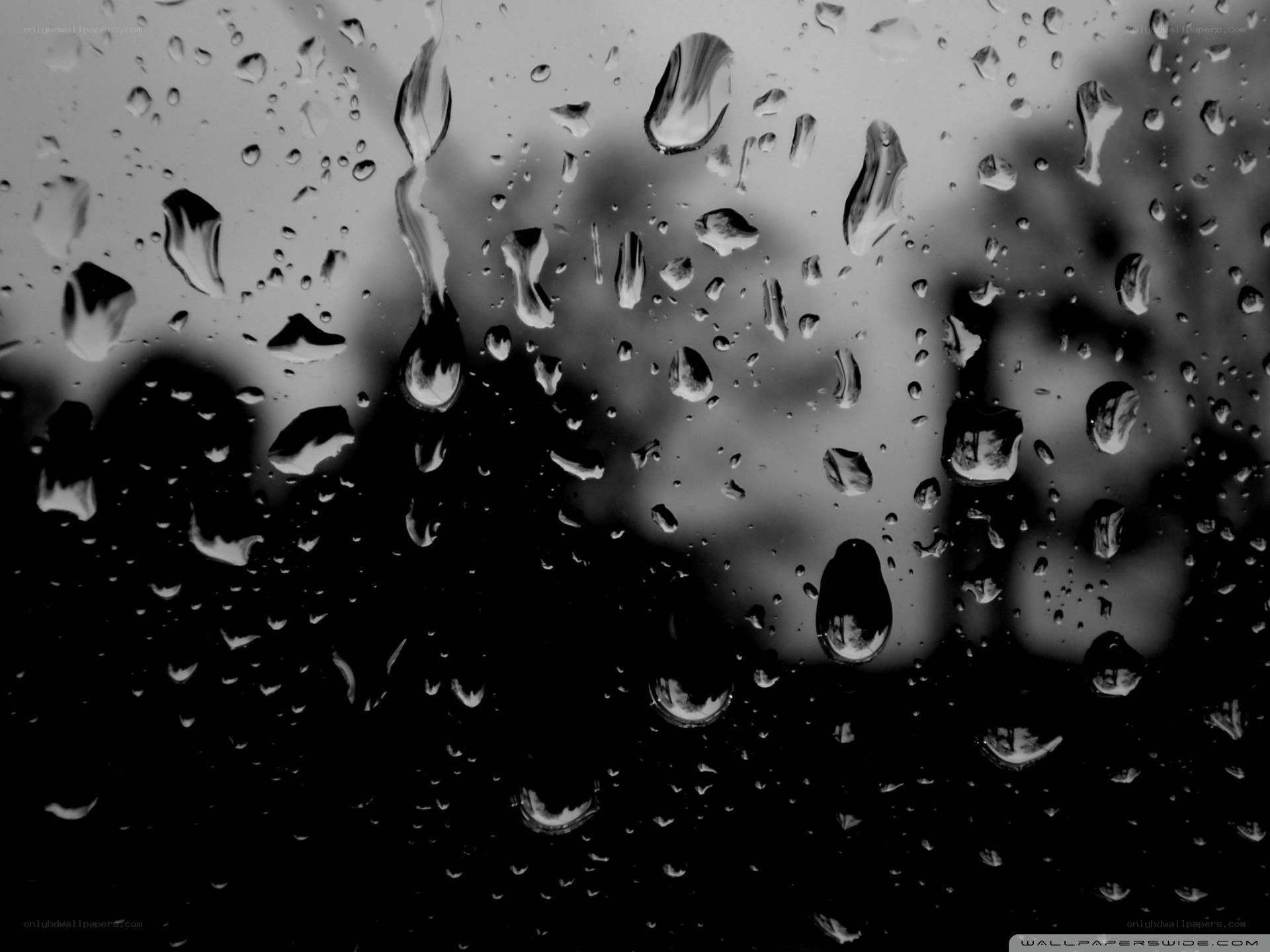 raindrops on a window