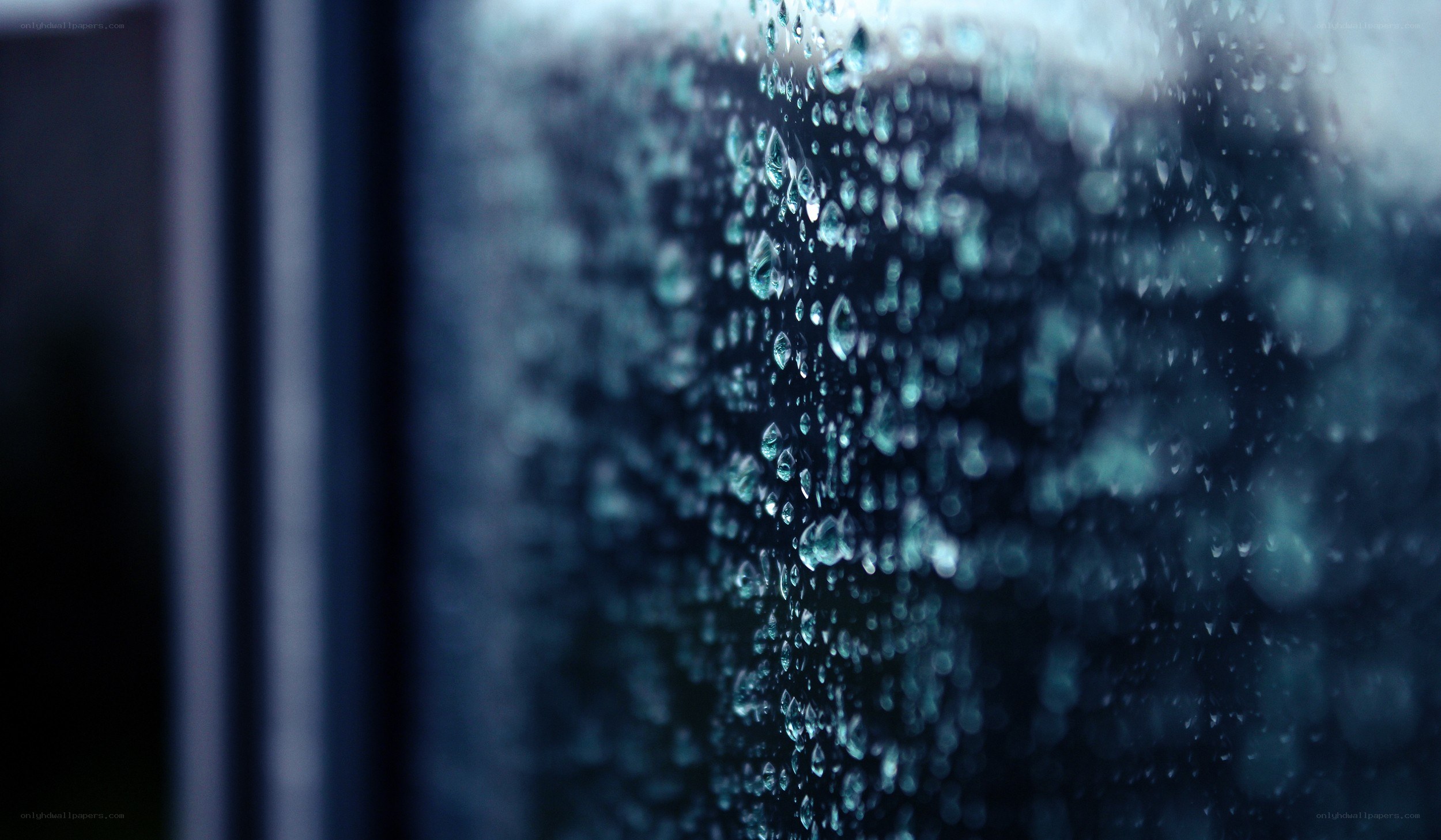 raindrops on a window