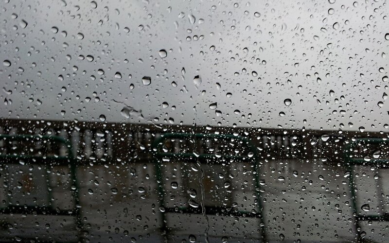 raindrops on a window