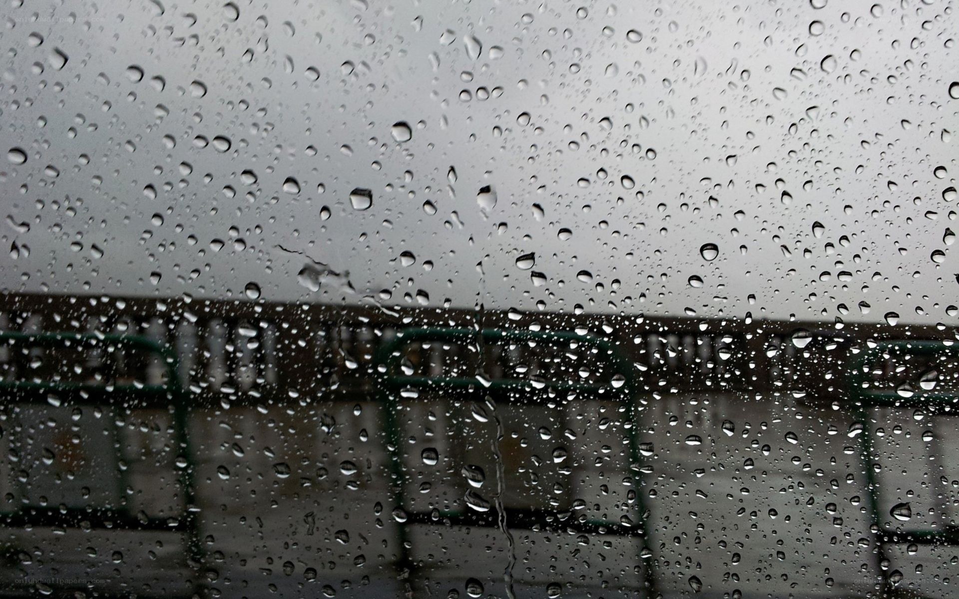 raindrops on a window