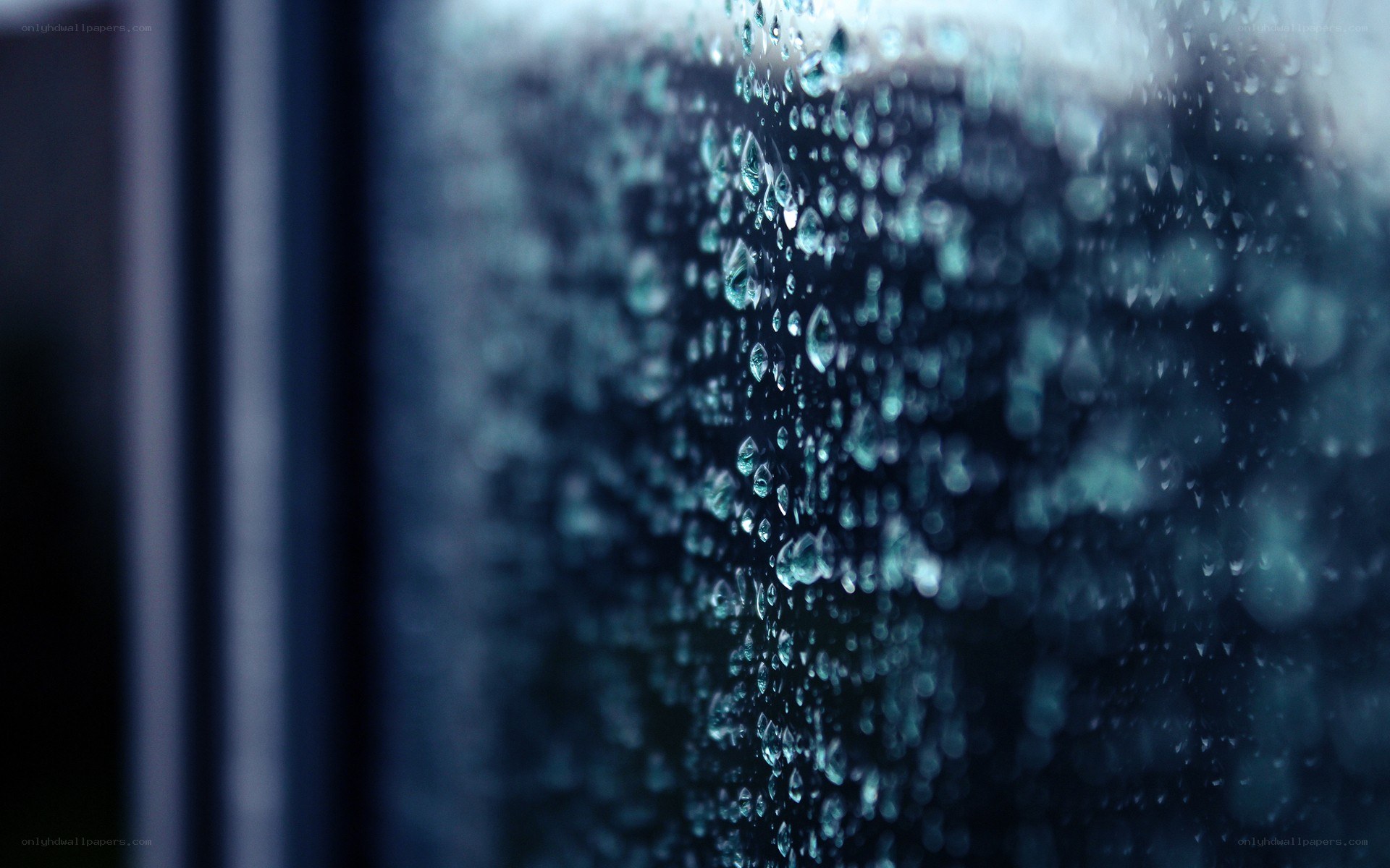 raindrops on a window