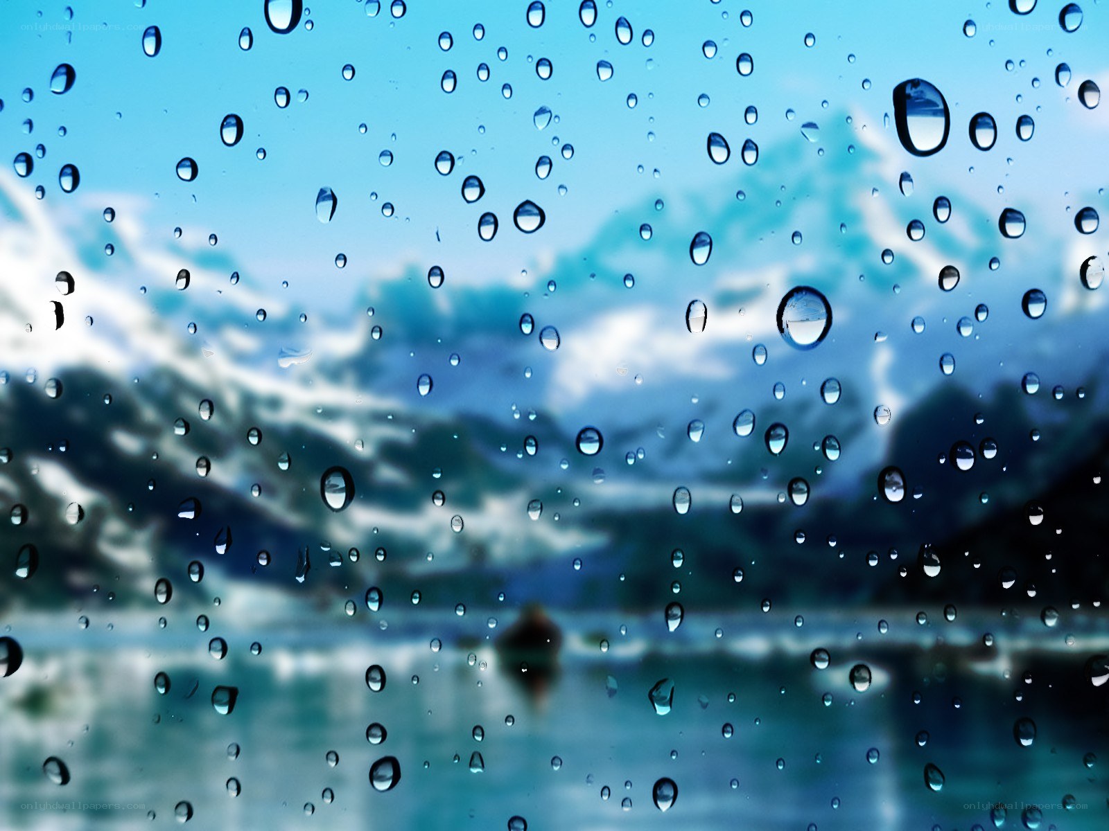 raindrops on a window