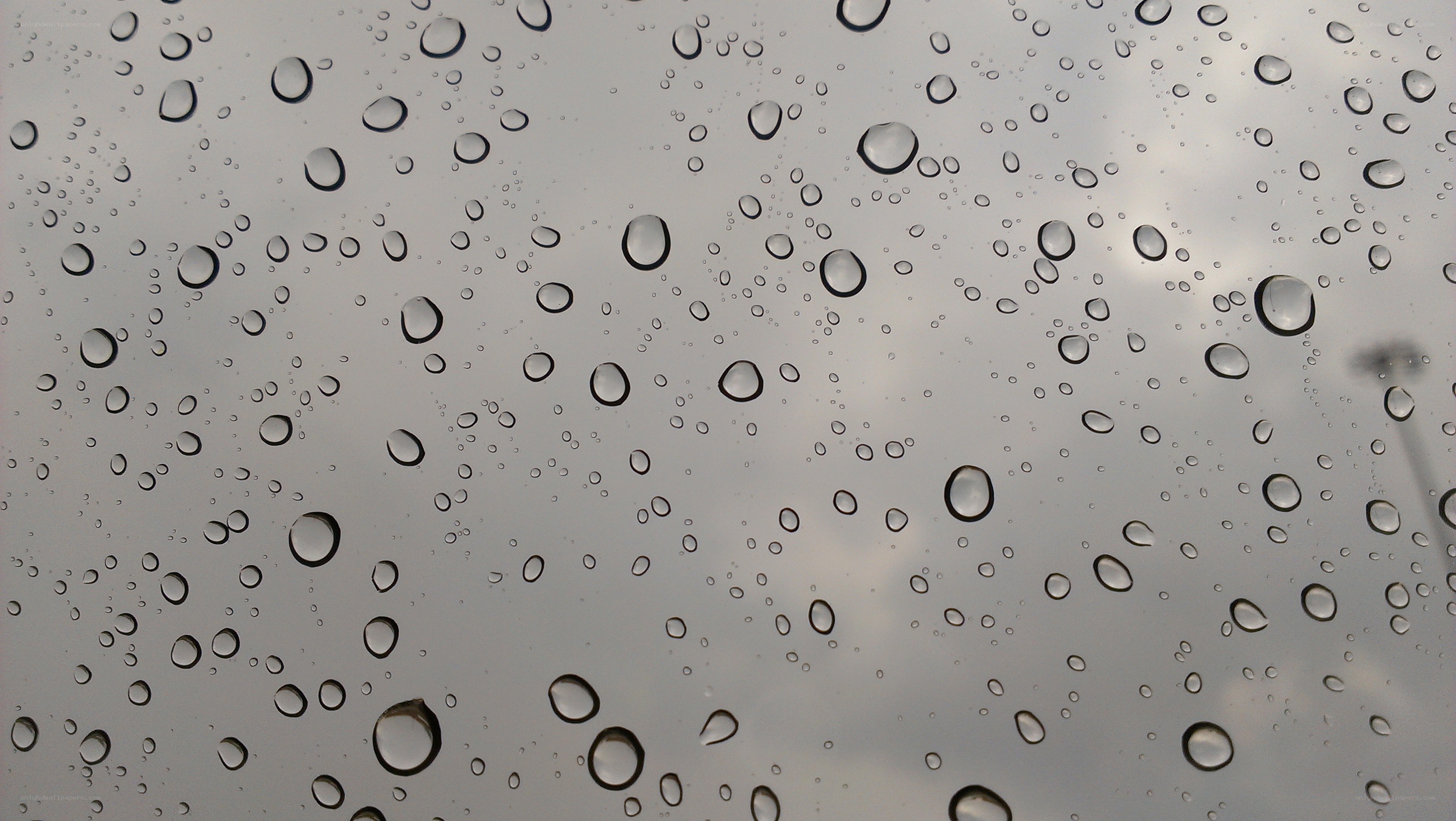 raindrops on a window
