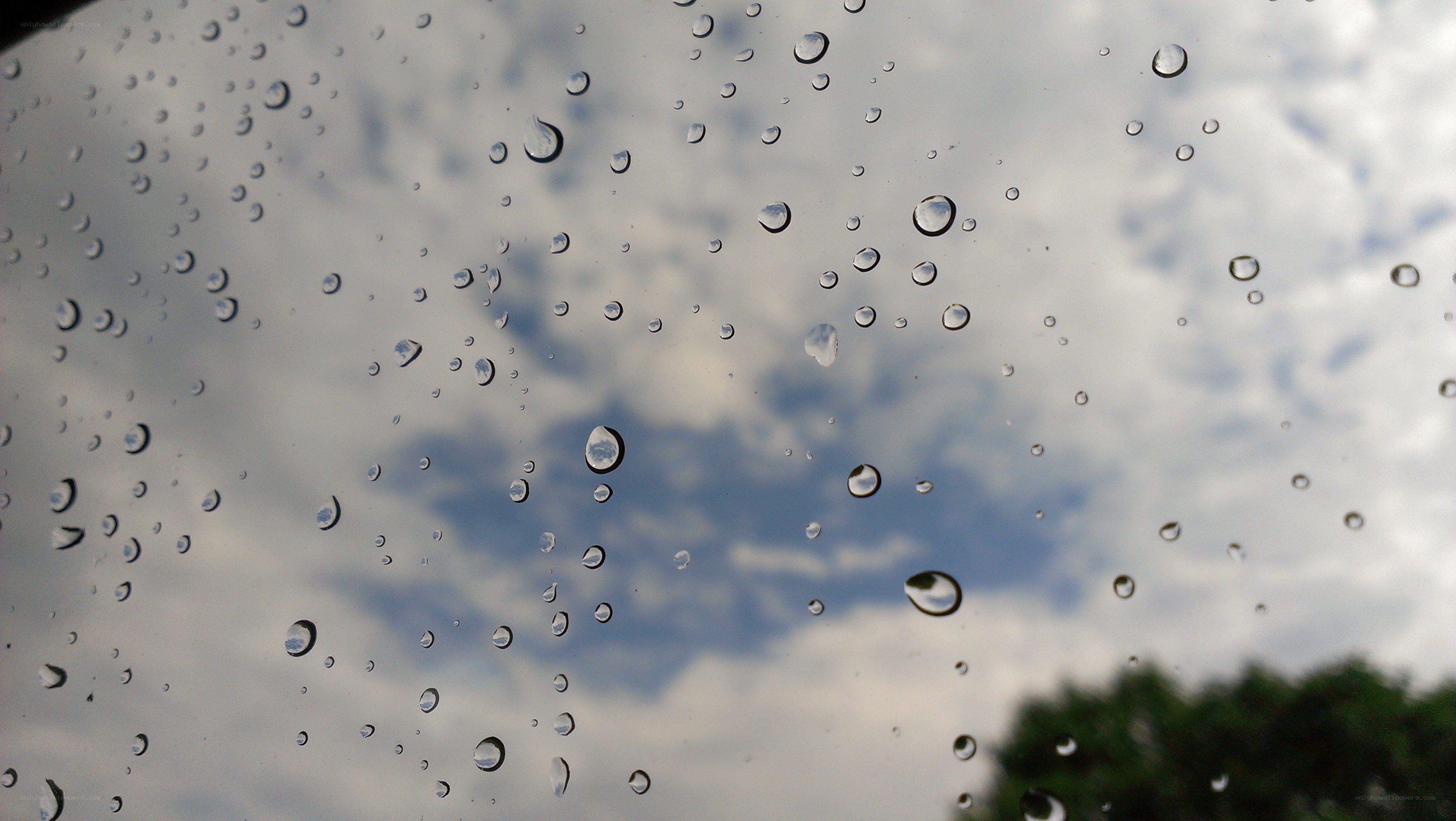 raindrops on a window