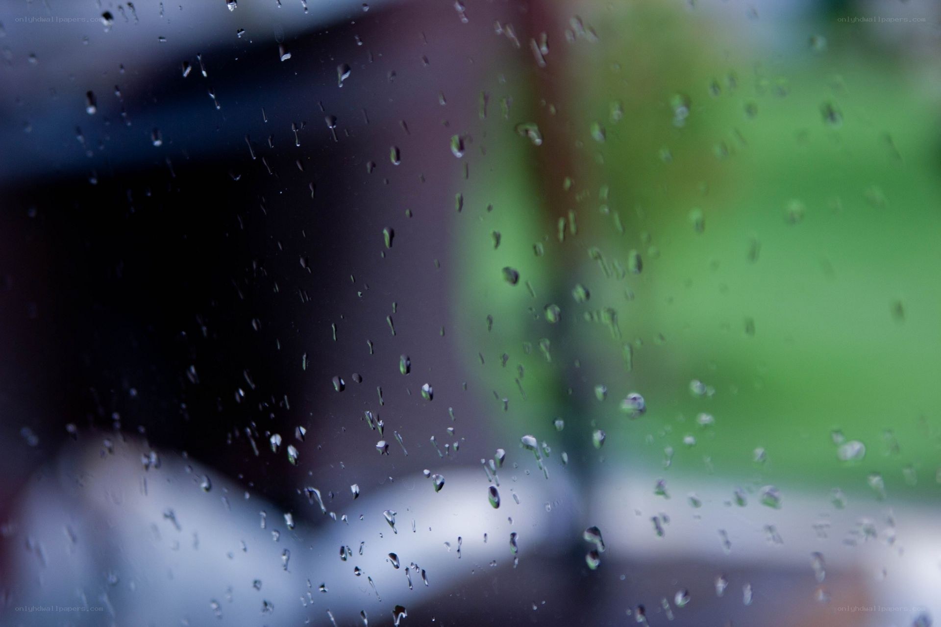 raindrops on a window
