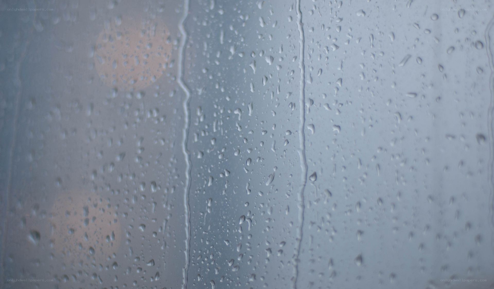Raindrops on a window