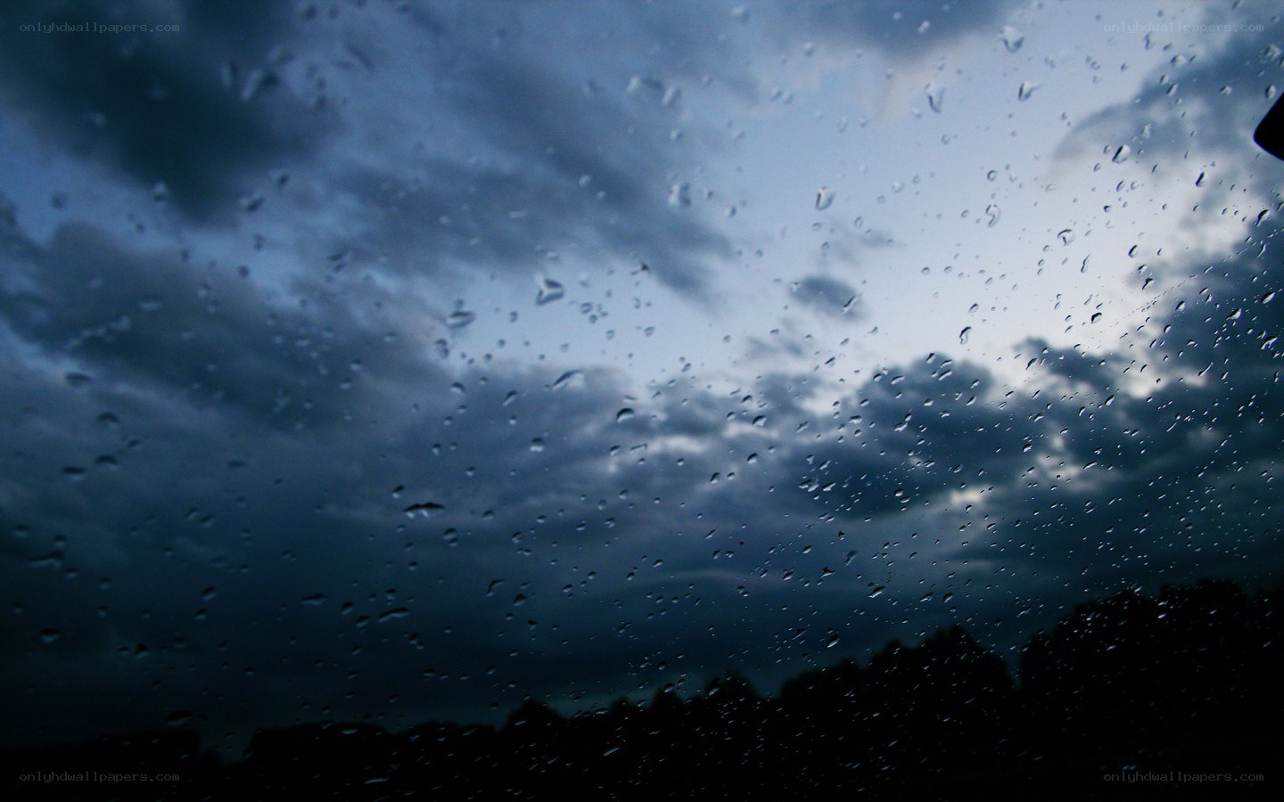 Raindrops on a window