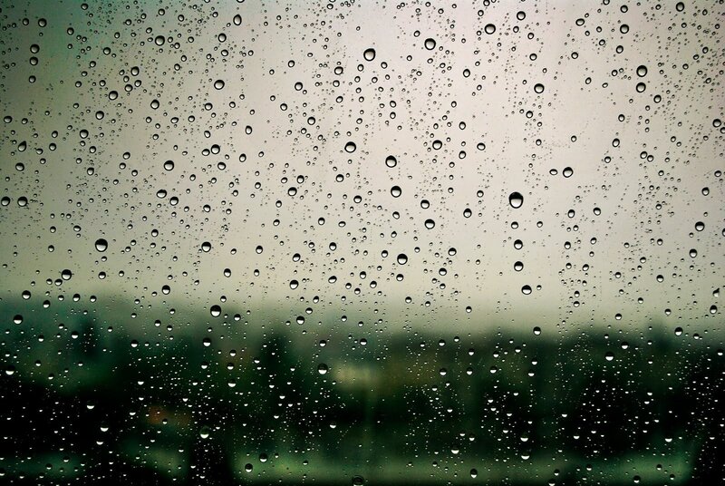 raindrops on a window