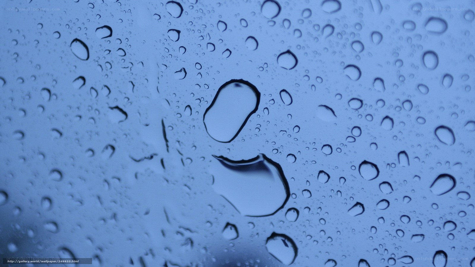 Raindrops on a window
