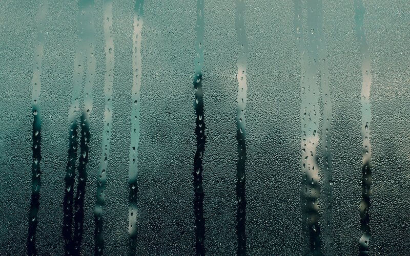 raindrops on a window