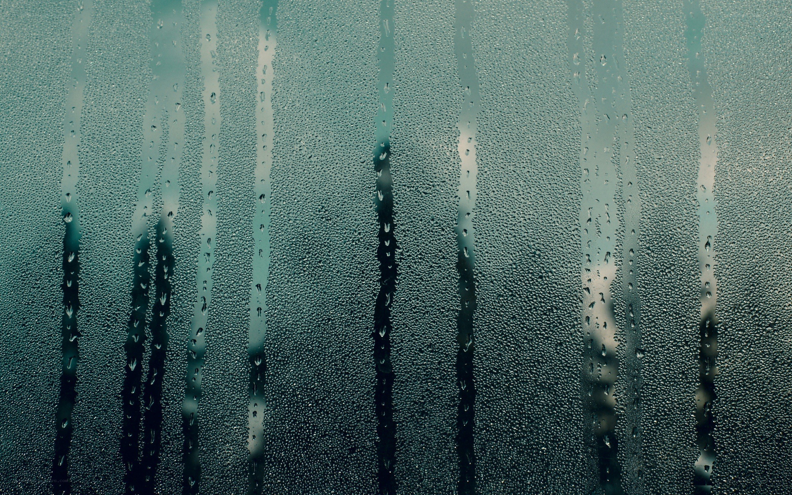raindrops on a window