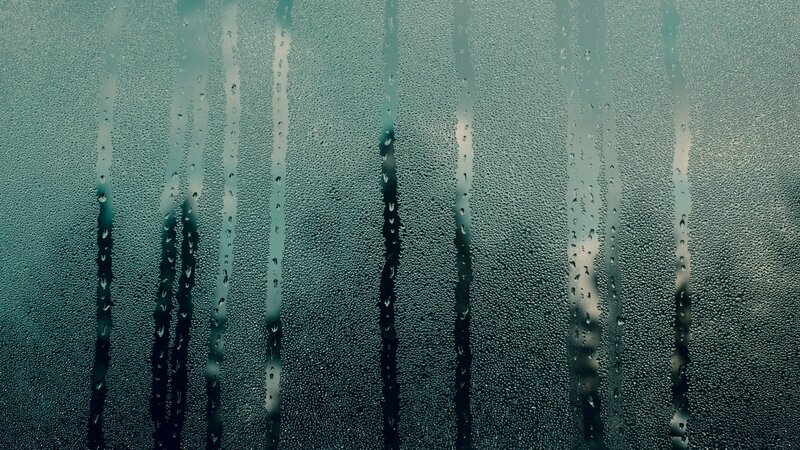 raindrops on a window