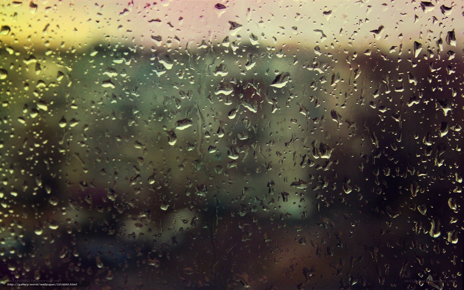 Raindrops on a window
