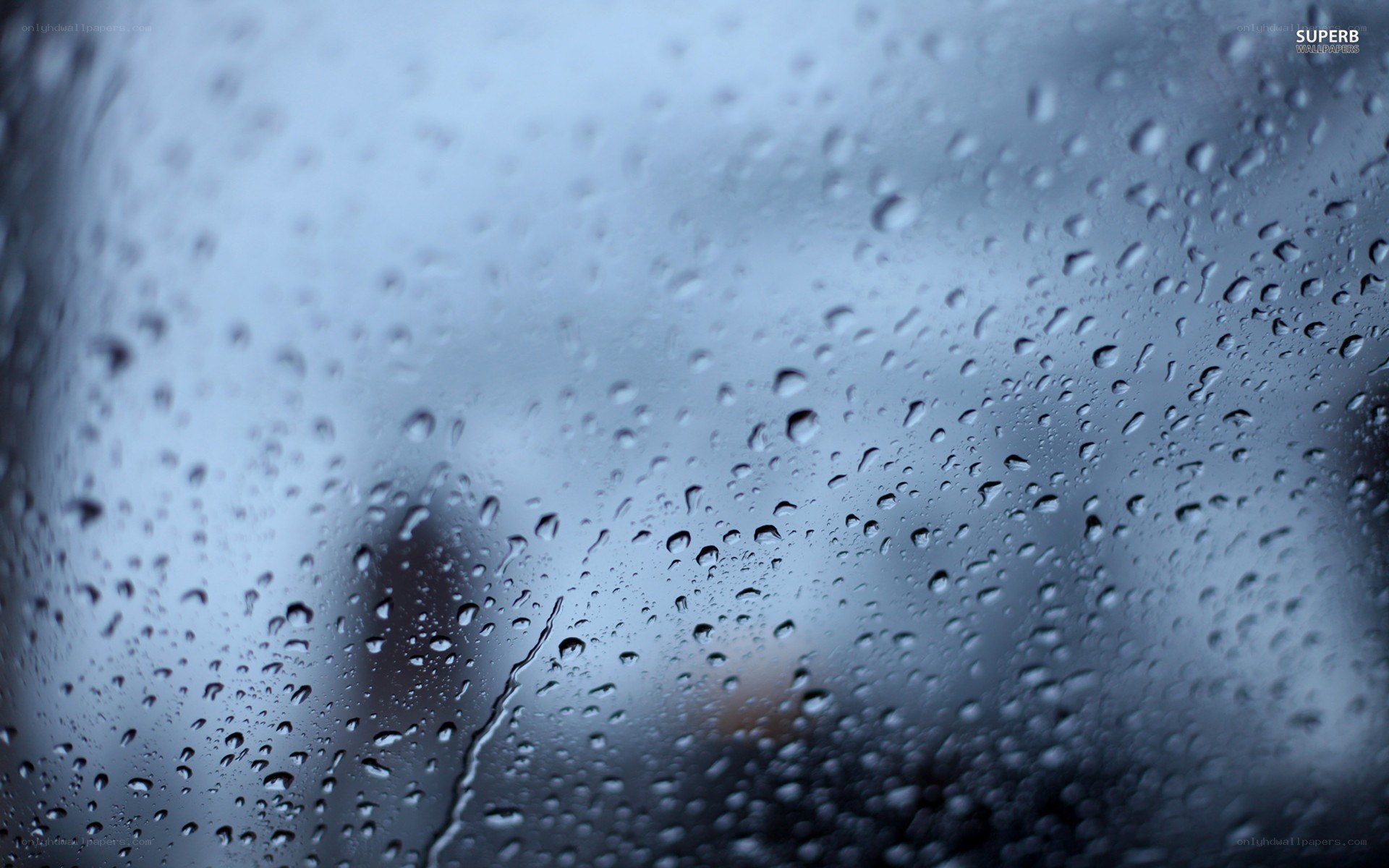 raindrops on a window
