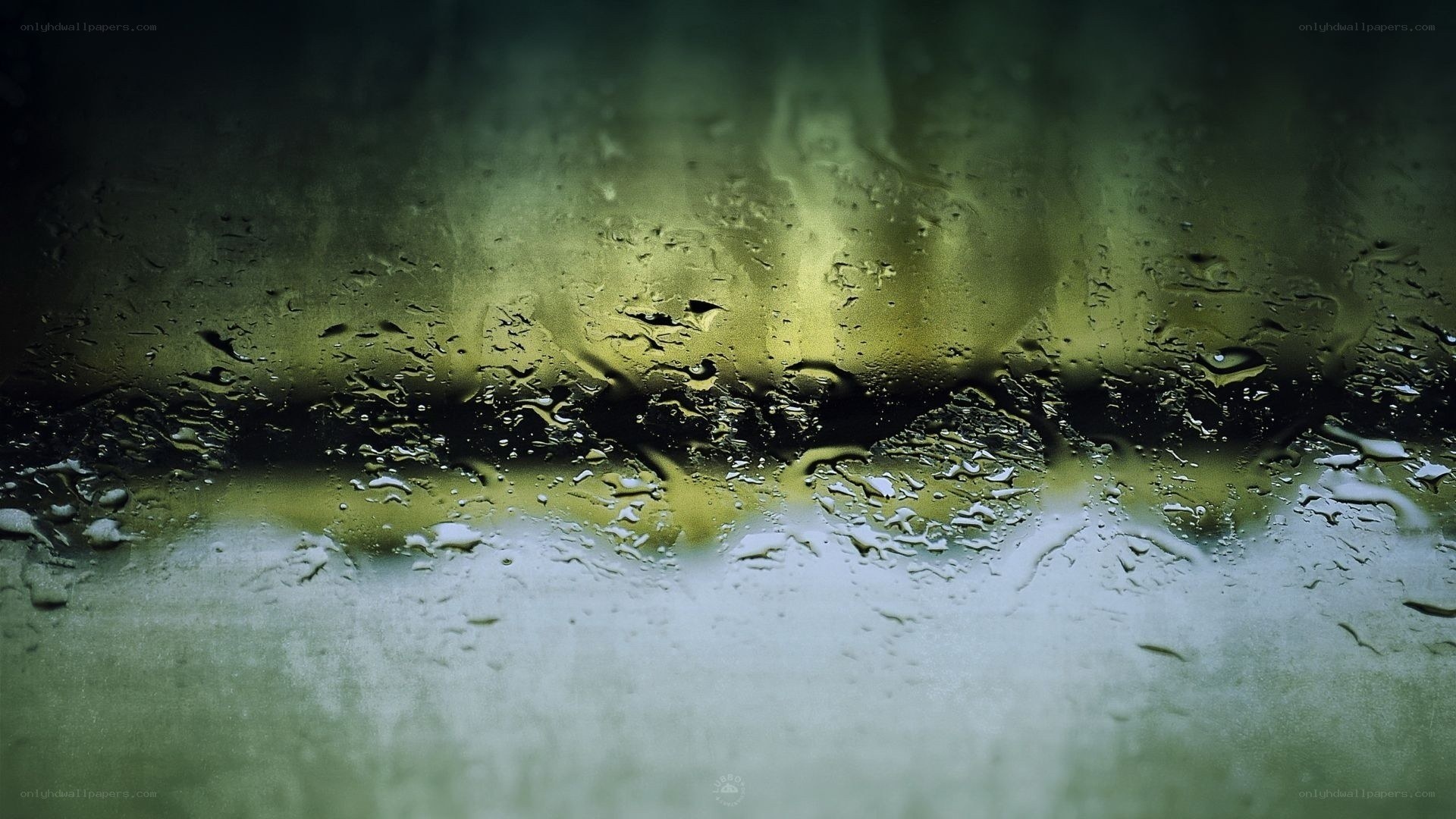 raindrops on a window