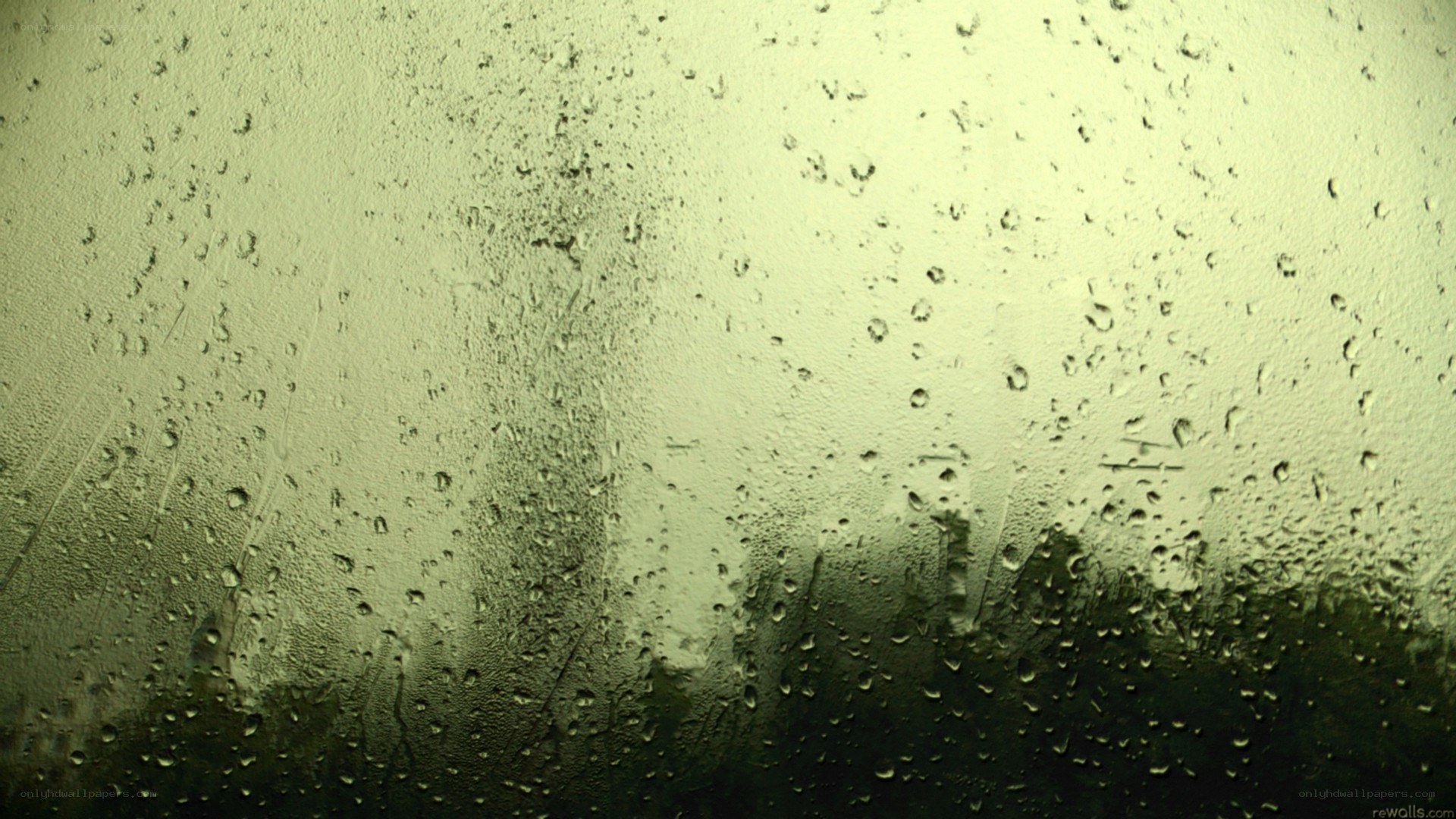 raindrops on a window