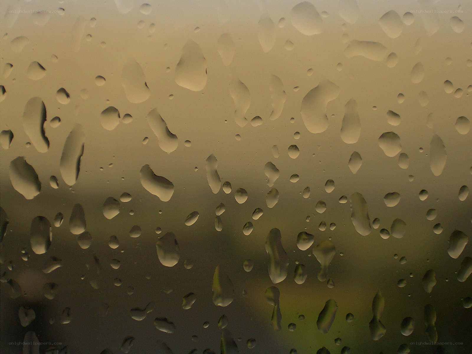 raindrops on a window