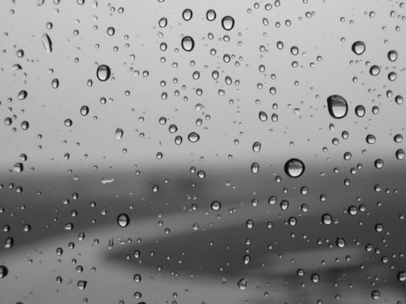 raindrops on a window