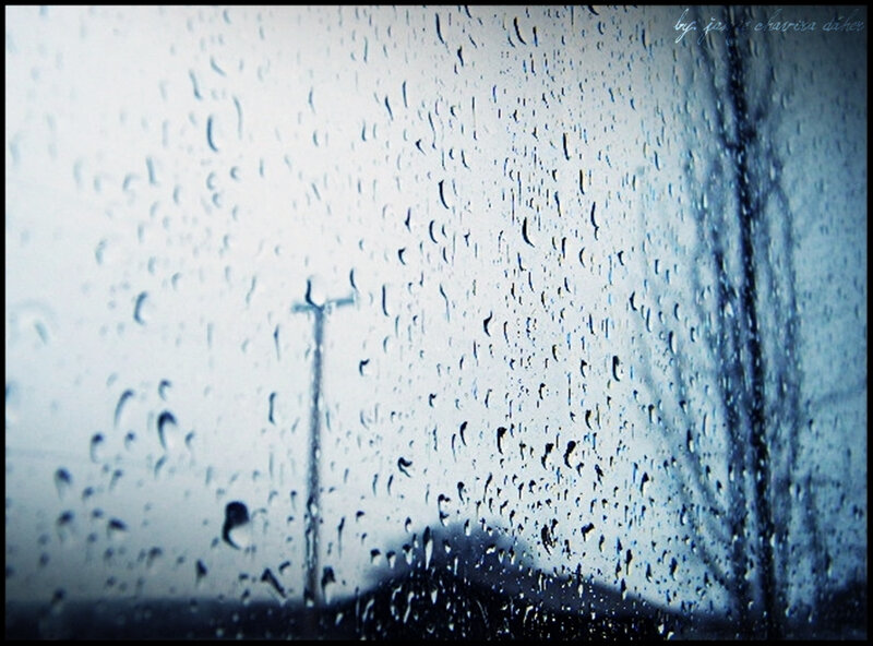 Raindrops on a window