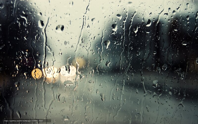 Raindrops on a window