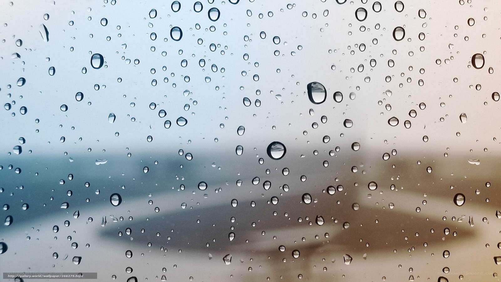 Raindrops on a window