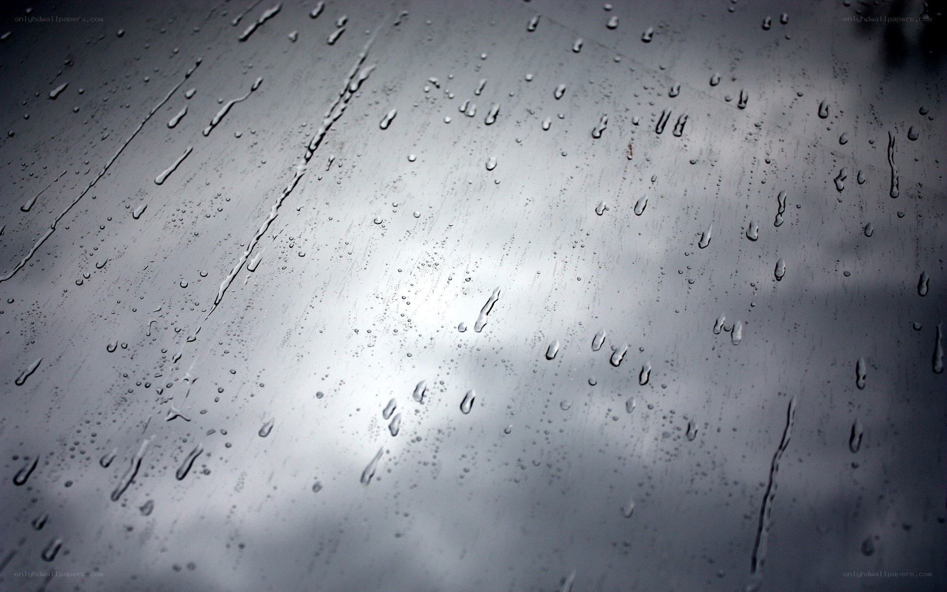 raindrops on a window