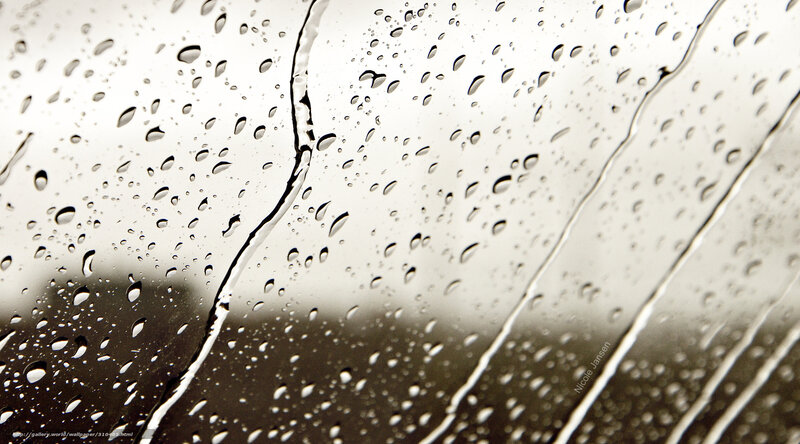 Raindrops on a window