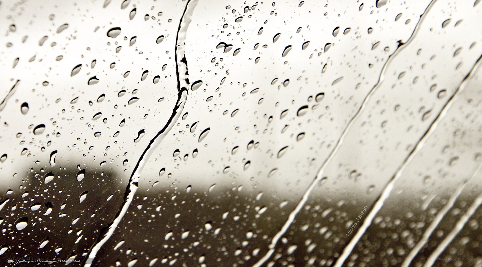 Raindrops on a window