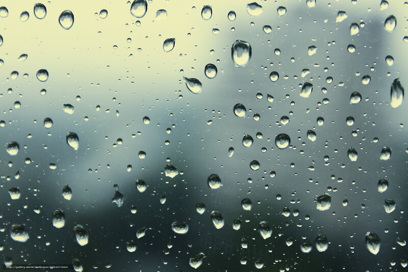 raindrops on a window