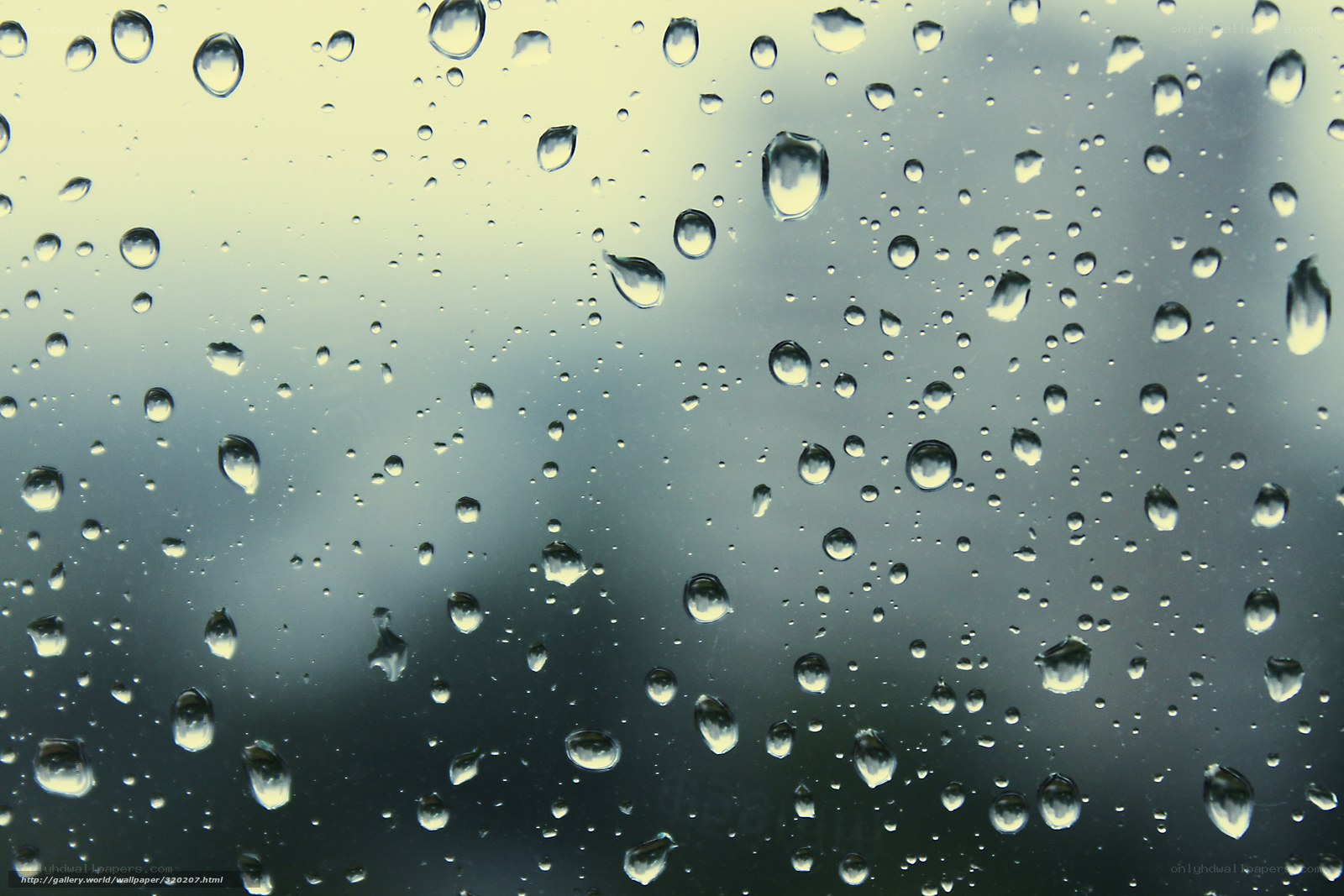 raindrops on a window