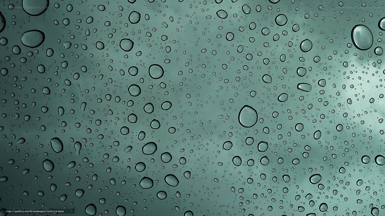 Raindrops on a window