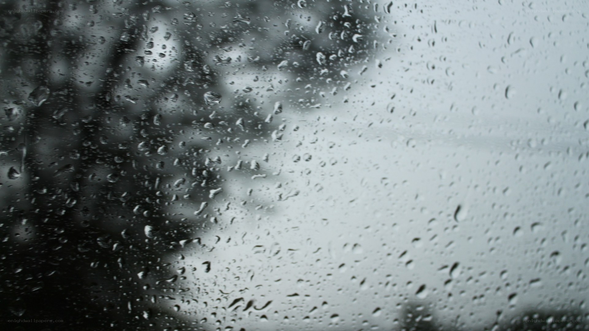 raindrops on a window